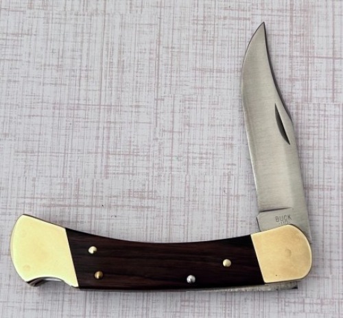 Buck 110 Lockback