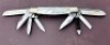Fight'n Rooster Pearl Eight Blade Congress