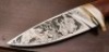 NRA Aurum Etched Drop Point Hunter - 2
