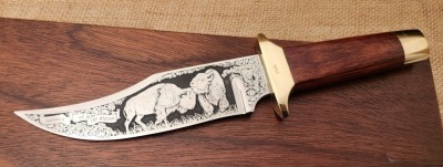 NRA Etched Buffalo Bowie