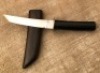 Nolen Knives Tanto