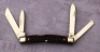 Case 8 Dot Bone Congress - 2