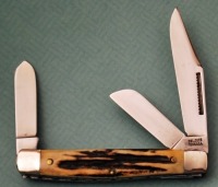 Colonel Coon Stag Stockman