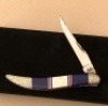 Case Custom Tiny Toothpick