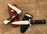 Pair of Western USA