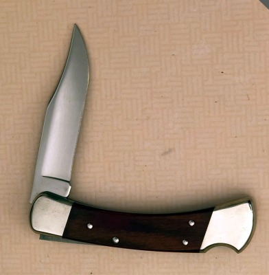 Buck 110 Etched with an Eagle on a Limb - 2