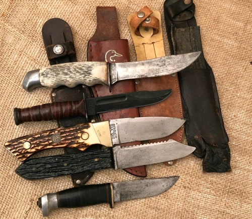 Lot of Five Fixed Blade Hunters