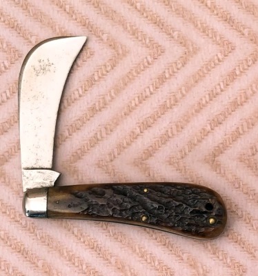 Case Tested Hawkbill - 2
