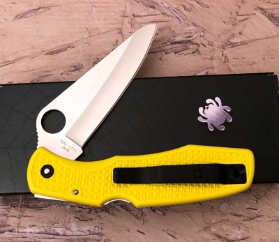 Spyderco Pacific Salt, yellow Scales - 2