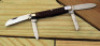 Case XX Bone 6488 Congress - 2