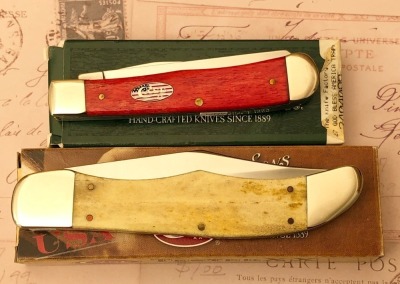 Pair of Smooth Bone Case - 2