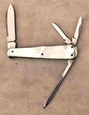 Cattaraugus Orange Blossom Whittler - 2