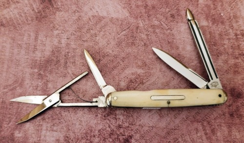 Cattaraugus Exhibition Bone Four Blade Pen
