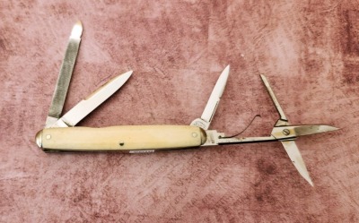 Cattaraugus Exhibition Bone Four Blade Pen - 2