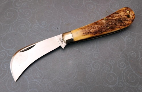 Case XX Green Bone Hawk Bill 61011
