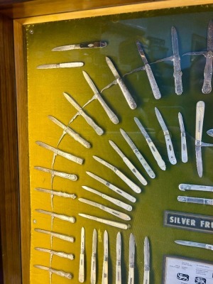 101 Silver & Pearl Fruit Knives in Large Lighted Display - 2
