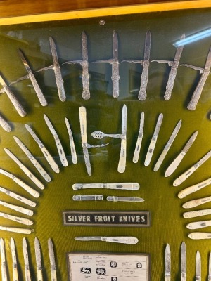 101 Silver & Pearl Fruit Knives in Large Lighted Display - 3