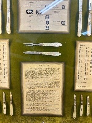 101 Silver & Pearl Fruit Knives in Large Lighted Display - 11