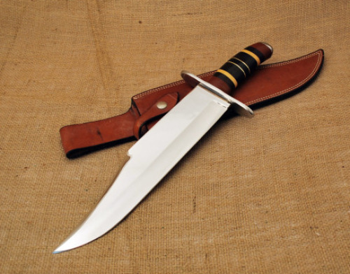 Alex Collins Bowie