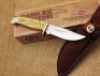 Case 678 3 1/2 Hunter in the Box - 2
