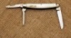 Rare W. R. Case & Sons Pearl Congress Whittler - 2