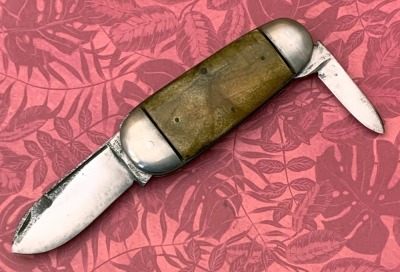 Henry Sears & Son Germany Elephant Toenail